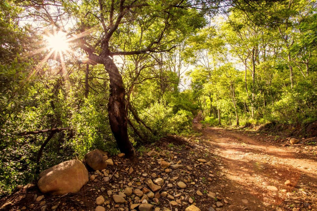 Vila Rivendell Trout Estate Lydenburg Exteriér fotografie